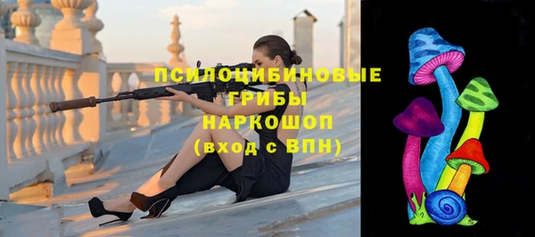 шишки Михайлов