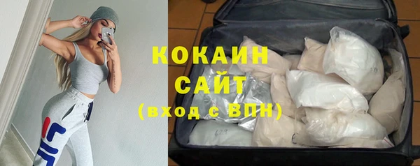 шишки Михайлов