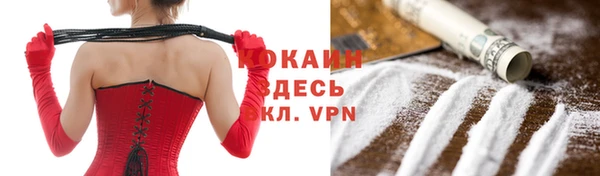 шишки Михайлов