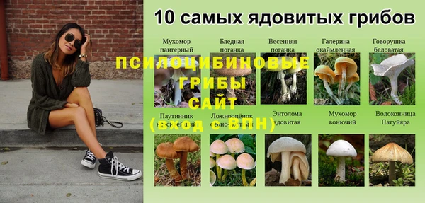крисы Переславль-Залесский