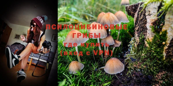 шишки Михайлов