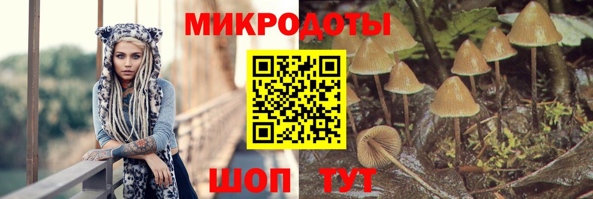 Мыски  Псилоцибиновые грибы мицелий  Вход с VPN 